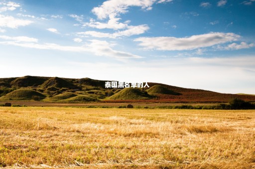 泰國(guó)黑名單的人
