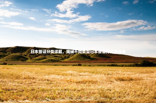 日本簽證分類(lèi)詳解，揭秘不同類(lèi)型日本簽證樣式及特點(diǎn)