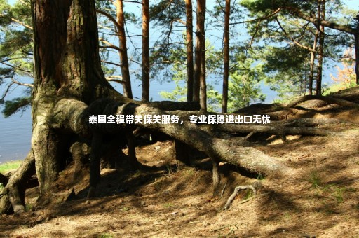 泰國全程帶關(guān)保關(guān)服務(wù)，專業(yè)保障進出口無憂