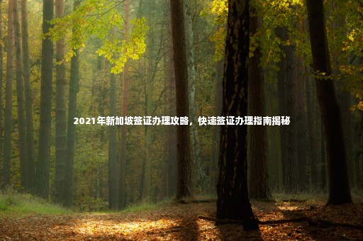 2021年新加坡簽證辦理攻略，快速簽證辦理指南揭秘
