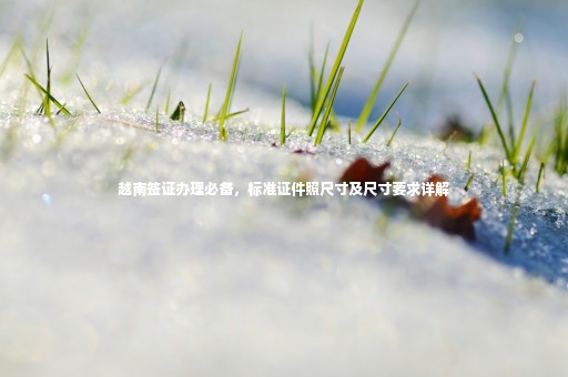 越南簽證辦理必備，標準證件照尺寸及尺寸要求詳解