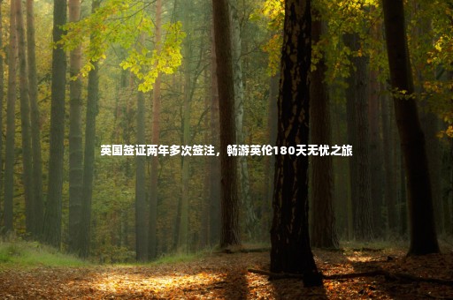 英國(guó)簽證兩年多次簽注，暢游英倫180天無(wú)憂之旅