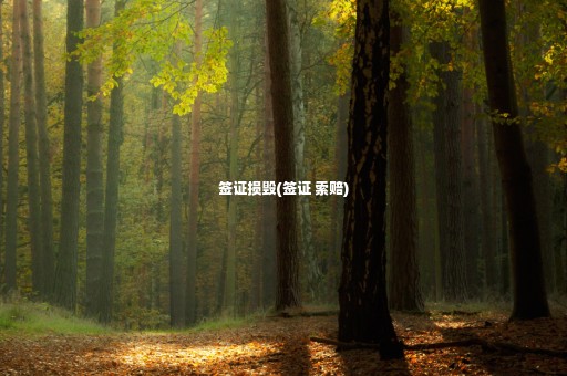 簽證損毀(簽證 索賠)