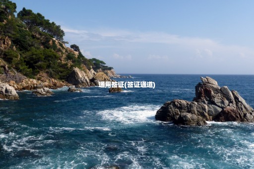 通用簽證(簽證通道)