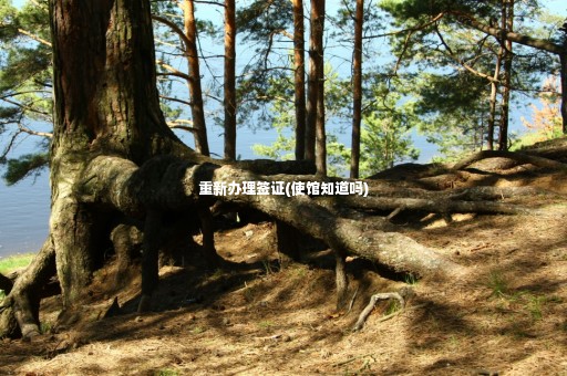 重新辦理簽證(使館知道嗎)