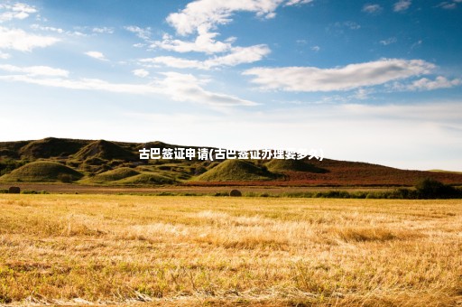古巴簽證申請(qǐng)(古巴簽證辦理要多久)