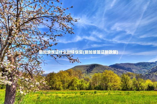 新加坡簽證什么時(shí)候恢復(fù)(新加坡簽證新政策)