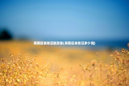 英國(guó)探親簽證新政策(英國(guó)探親簽證多少錢)