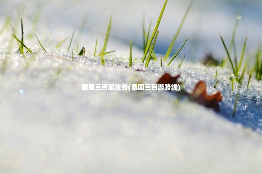 泰國三日游攻略(泰國三日游路線)