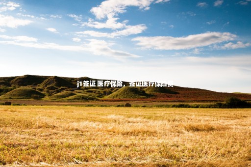 j1簽證 醫(yī)療保險(xiǎn)，簽證醫(yī)療保險(xiǎn)費(fèi)