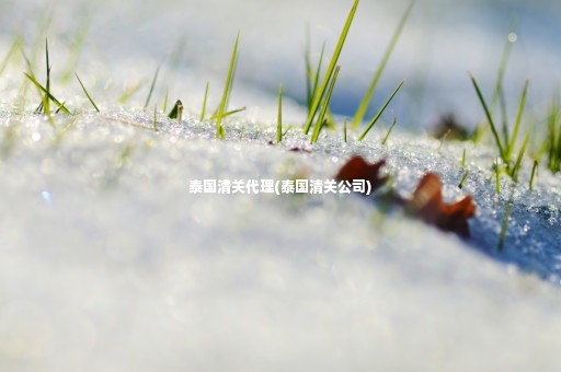 泰國清關代理(泰國清關公司)