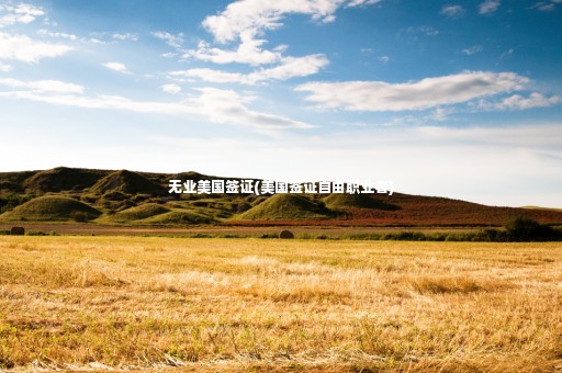 無業(yè)美國簽證(美國簽證自由職業(yè)者)