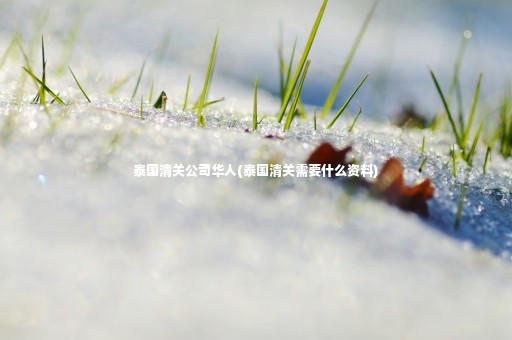 泰國清關公司華人(泰國清關需要什么資料)
