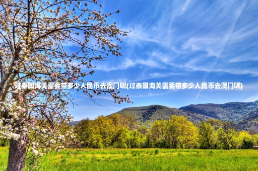 過泰國海關需要帶多少人民幣去澳門呢(過泰國海關需要帶多少人民幣去澳門呢)