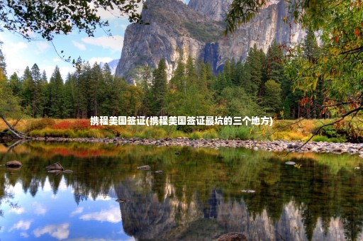 攜程美國(guó)簽證(攜程美國(guó)簽證最坑的三個(gè)地方)