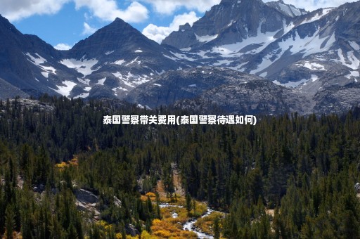 泰國警察帶關(guān)費用(泰國警察待遇如何)