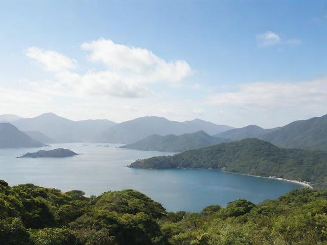 臺灣G簽證詳解，有效期及申請指南全解析
