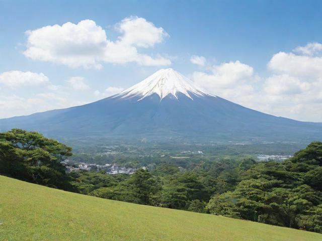 輕松入境日本！一網(wǎng)打盡日本網(wǎng)上簽證辦理攻略及官網(wǎng)信息