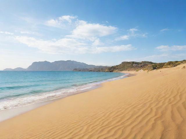 沙特旅游簽證辦理流程揭秘，揭秘沙特旅游簽證申請(qǐng)難易程度及辦理技巧