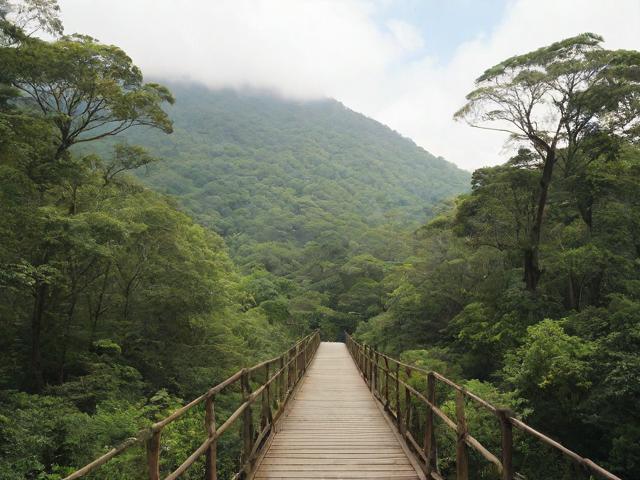 揭秘動(dòng)森移民現(xiàn)象，探索移民目的地與遷徙選擇背后的故事