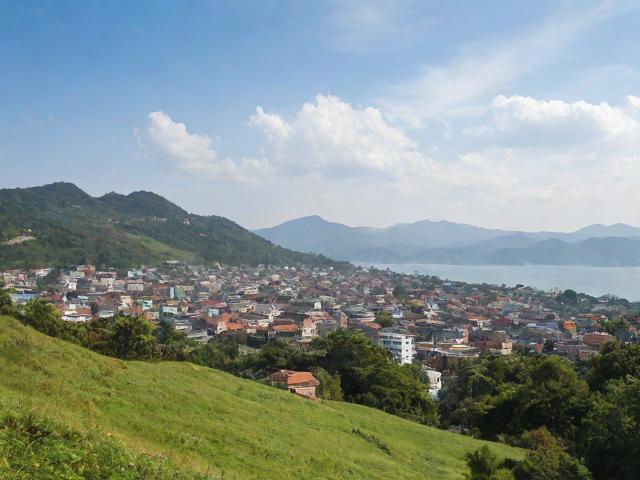 移民中國潮(中國移民潮帶走了財富和人才)