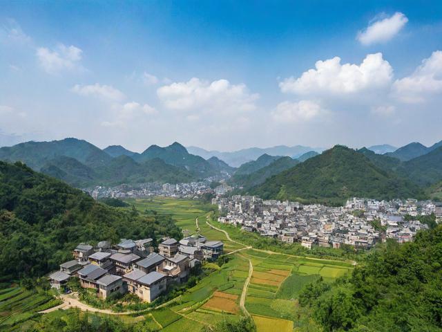 高唐張氏移民(高唐縣張莊)