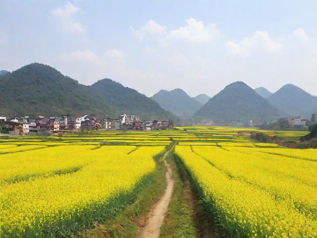 皋蘭縣移民生活探究，環(huán)境與社區(qū)發(fā)展的深度探討