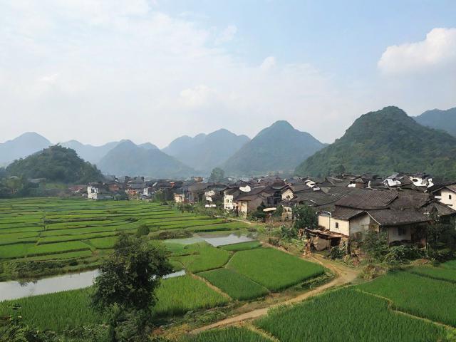 仙游西苑移民(仙游縣西苑鄉(xiāng)西苑村)