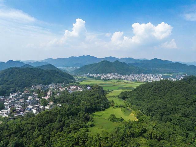 玉林移民局，全面解析移民政策，助力地方移民事務管理與服務優(yōu)化