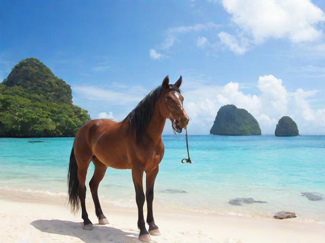 泰國人在曼谷辦理馬來西亞簽證流程及照片要求，泰國公民赴馬來西亞是否需要簽證？