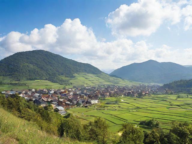 移民審判決(移民案件查詢(xún)網(wǎng)址)