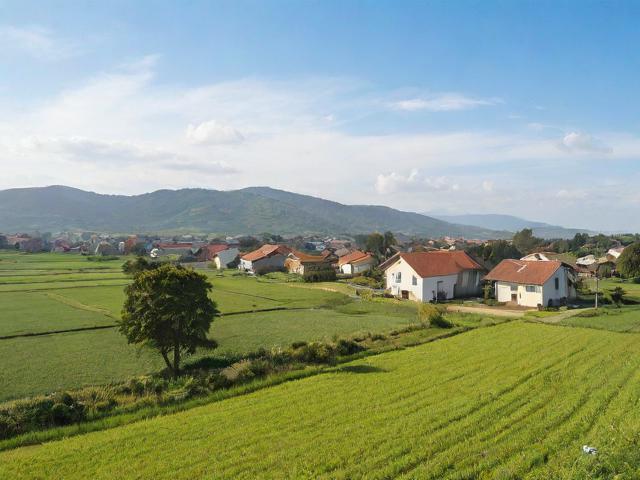 未來農(nóng)村移民(2021年農(nóng)村還有移民搬遷嗎)