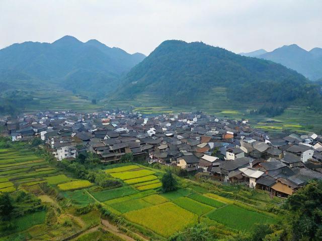 浙江農(nóng)村移民，探索新家園的旅程與變遷