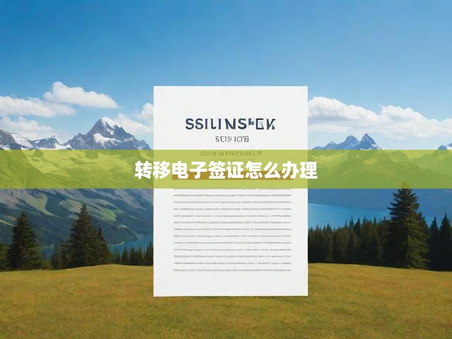 電子簽證辦理攻略，流程解析及順利轉(zhuǎn)移技巧全解析