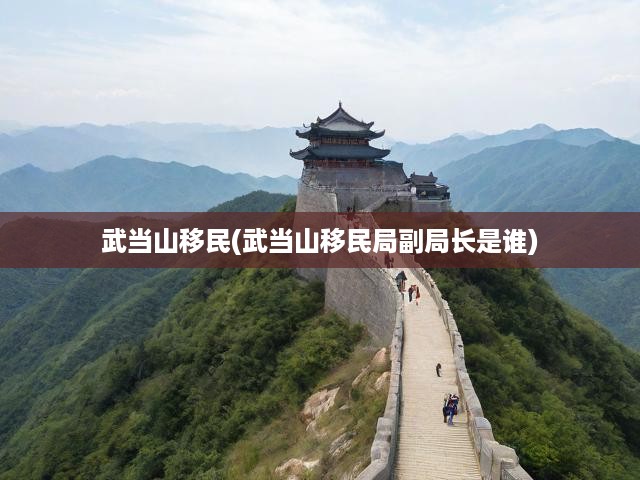 武當山移民之謎，副局長身份揭秘，探尋背后深刻故事