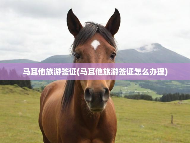 馬耳他旅游簽證全攻略，辦理流程及必備材料詳析