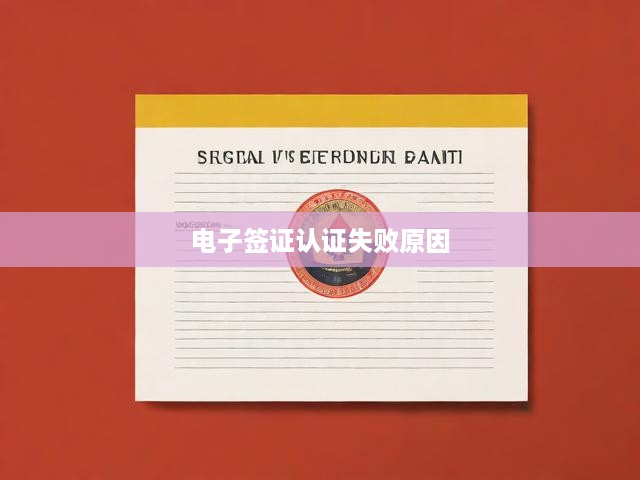 電子簽證認證失敗，揭秘原因與高效解決方案探索