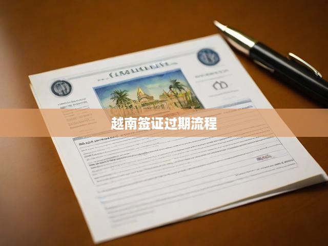 越南簽證逾期處理攻略，全面流程與應(yīng)對(duì)策略解析