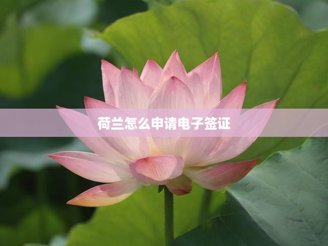 荷蘭電子簽證申請全方位指南，流程解析、申請條件及關鍵提示一網(wǎng)打盡