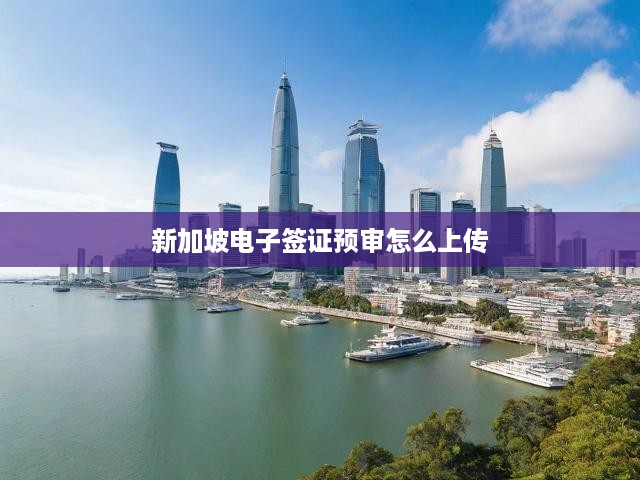 新加坡電子簽證預審一步到位，詳細流程、關鍵要點及實操攻略