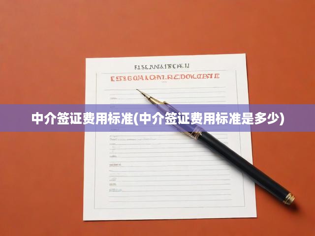中介簽證費(fèi)用全解析，標(biāo)準(zhǔn)揭秘與費(fèi)用構(gòu)成深度剖析