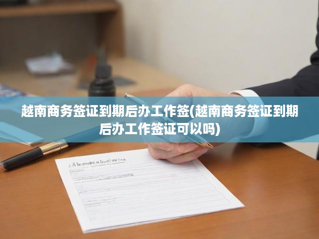 越南商務簽證轉工作簽證全攻略，流程解析與實操指南