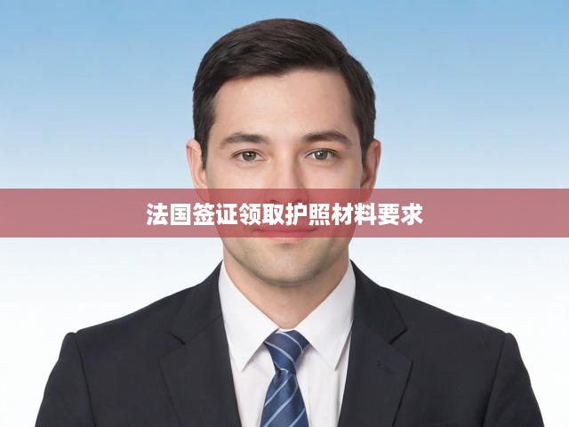 法國簽證護(hù)照領(lǐng)取攻略，詳盡申請流程及必備材料揭秘