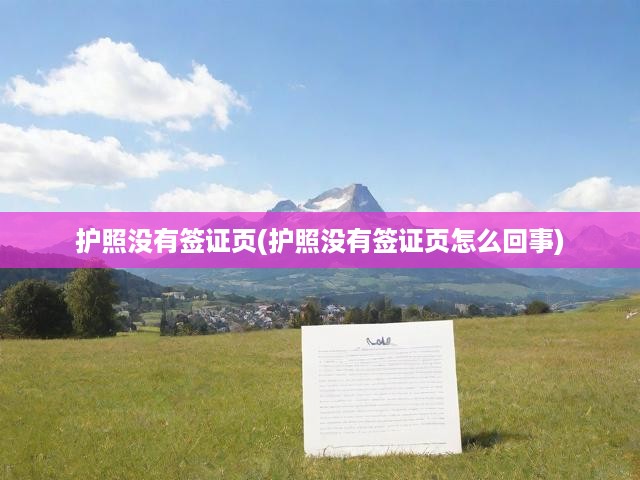 護(hù)照無簽證頁之謎，深度解析成因及應(yīng)對攻略