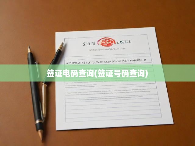 簽證電碼速查與號碼真?zhèn)悟炞C，一站式服務(wù)指南