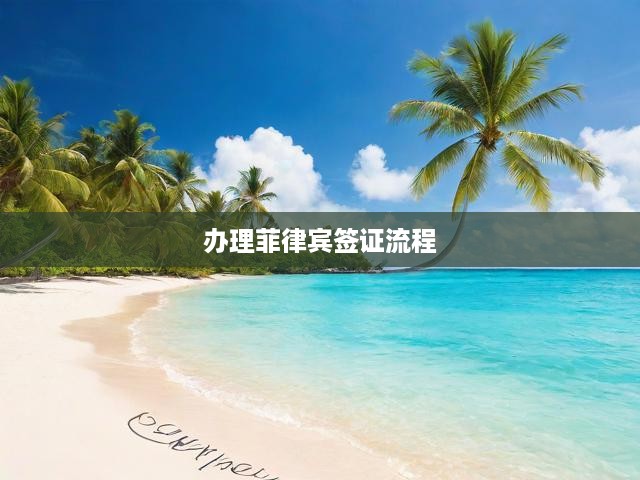 菲律賓簽證申請攻略，從材料準(zhǔn)備到成功獲簽的全程指導(dǎo)