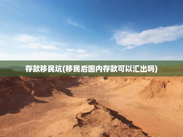 存款移民風(fēng)險大揭秘，匯款困境與潛在陷阱深度解析
