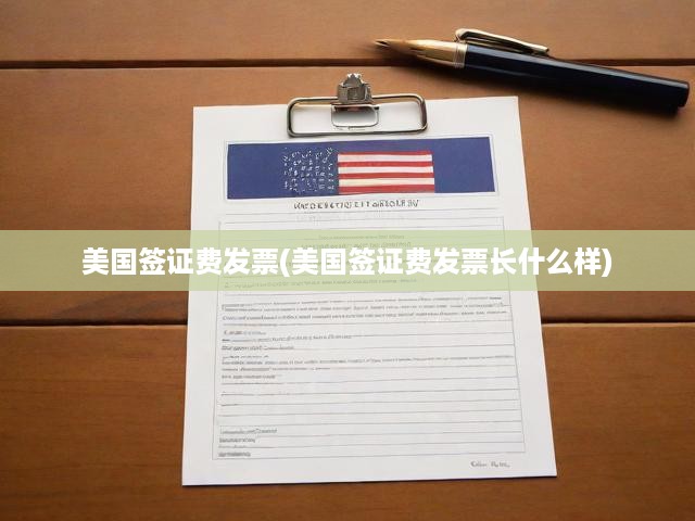 美國簽證費發(fā)票(美國簽證費發(fā)票長什么樣)