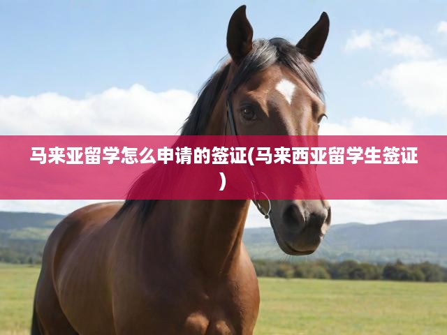 馬來(lái)西亞留學(xué)簽證申請(qǐng)一站式指南，詳盡步驟助你順利獲批