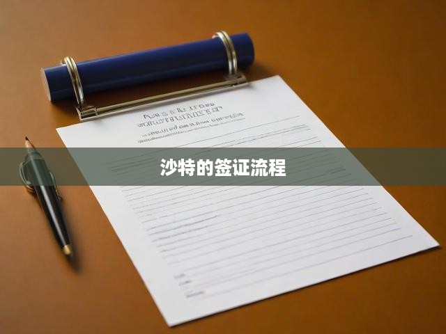 沙特簽證申請攻略，一站式全流程解析，輕松獲批無煩惱